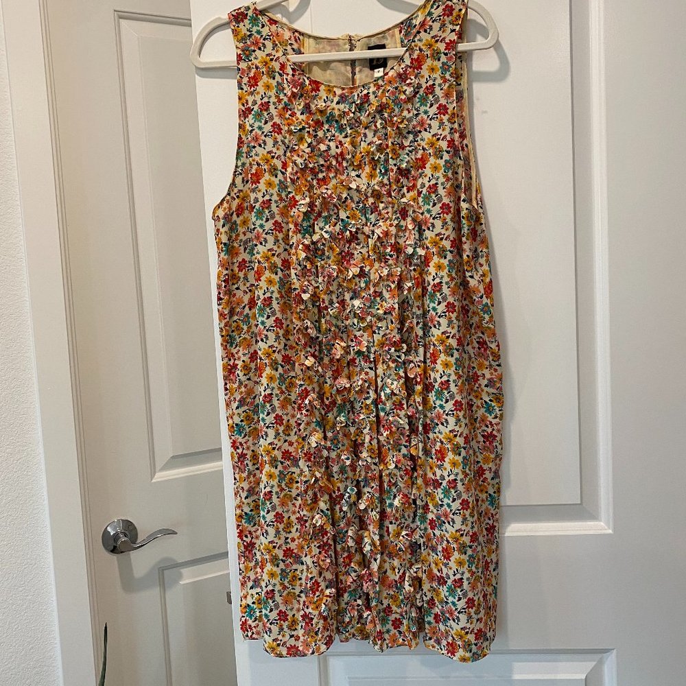 Anthropologie S+B sleeveless floral tonic with fluttering flowers size 12